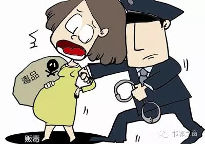 2016年初，涉縣警方查獲一起涉毒案件，鑒于該案涉案人員多、毒品交易量大，涉縣警方立即將案情上報(bào)，被公安部確立為“目標(biāo)-2016-314”號(hào)毒品案件。涉縣警方成立專(zhuān)案組，經(jīng)過(guò)多方追查，先后抓獲團(tuán)伙人員13名，繳獲毒品5349克，并查明上線(xiàn)“濮姐”的真實(shí)身份為陳某。